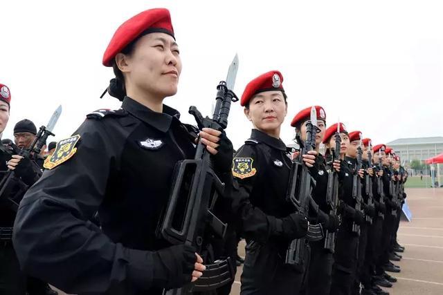 老鹰引发争议！，Ming官方宣布锐不可当新规气势如虹延续的简单介绍